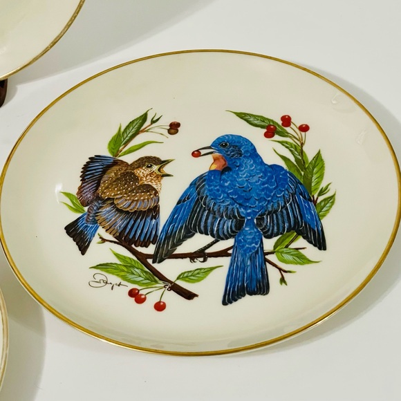 Elegant Bird Motif Decorative Plate Set - Picture 5 of 7